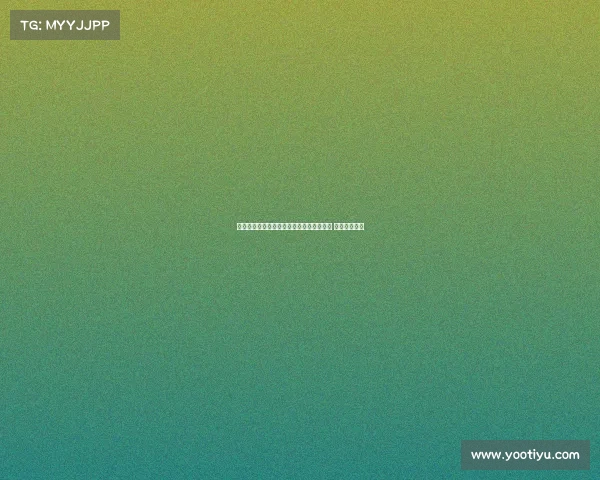 西甲升班马埃尔切正式签下本菲卡中场内托 合同期为三年 西甲升班马埃尔切正式签下本菲卡中场内托 合同期为三年